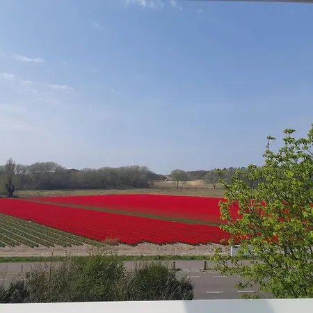4t4 C * Egmond aan den Hoef