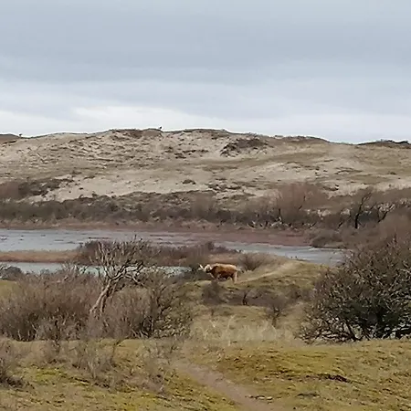 4t4 C Egmond aan den Hoef