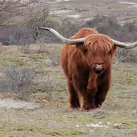 4t4 C 아파트 에그몬단덴 후에프