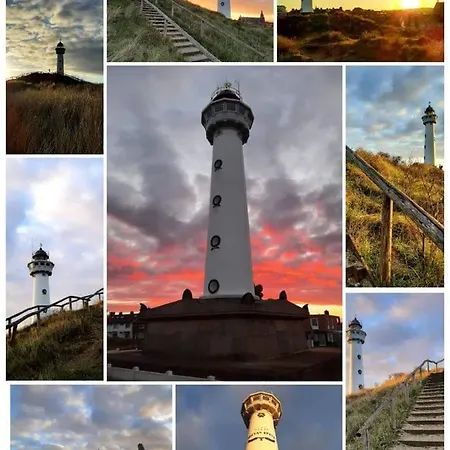 4t4 C 에그몬단덴 후에프