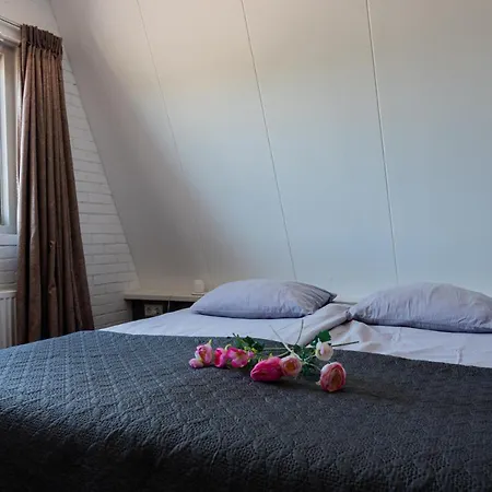 4t4 C * 에그몬단덴 후에프